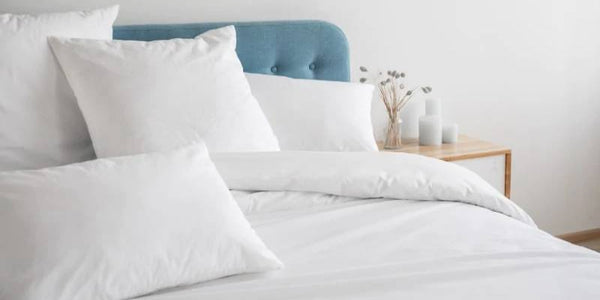 Cotton Duvet